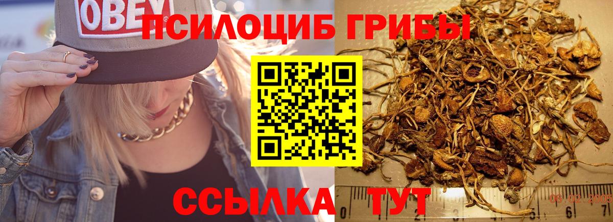где найти наркотики  Галлюциногенные грибы ЛСД  Вход с VPN  Галлюциногенные грибы Psilocybine cubensis  Сафоново 